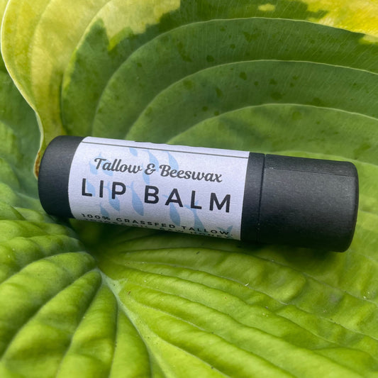 Tallow & Beeswax Lip Balm